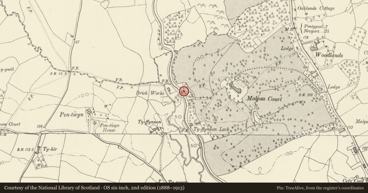 Ordnance Survey six-inch map, 2nd edition (1888–1913) covering the location of Bridge over the Monmouthshire and Brecon Canal SE of Pentwyn (partly in Malpas community), Bettws, Newport, with a pin at the register's coordinates