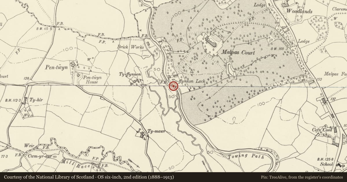 Ordnance Survey six-inch map, 2nd edition (1888–1913) covering the location of Ty-ffynnon Bridge over the Monmouthshire and Brecon Canal and Lock (partly in Malpas community), Bettws, Newport, with a pin at the register's coordinates