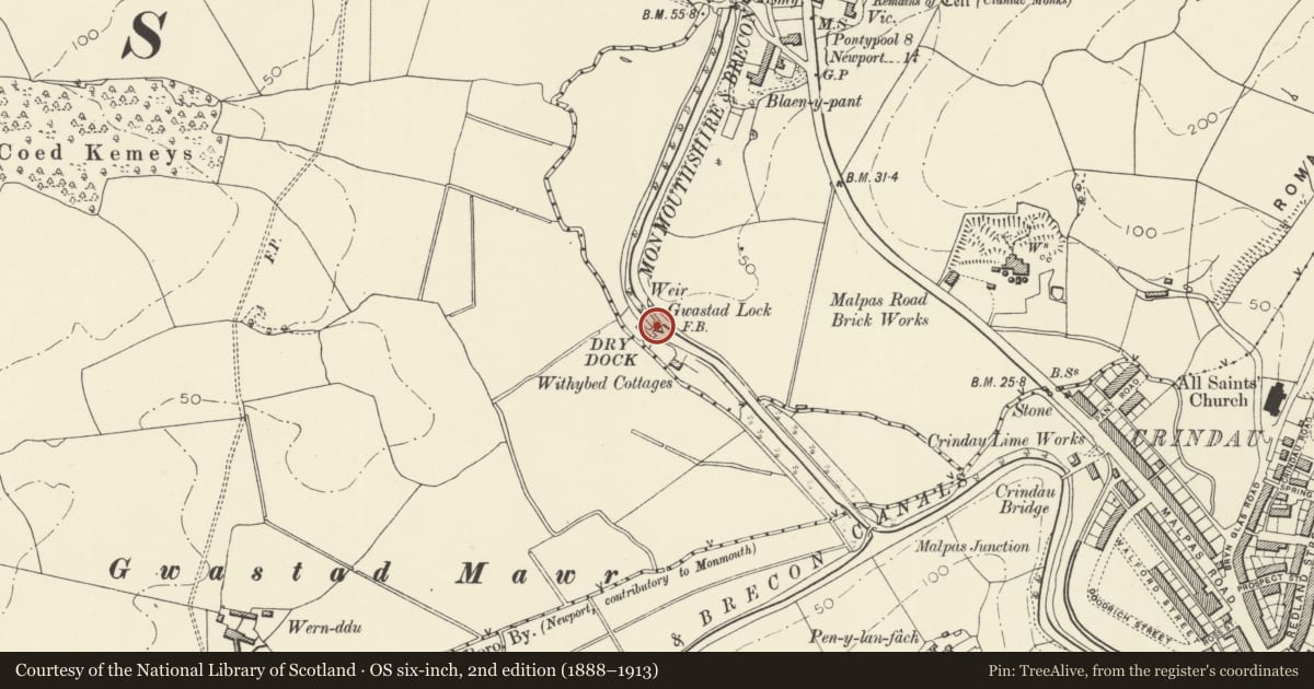 Ordnance Survey six-inch map, 2nd edition (1888–1913) covering the location of Gwastad Bridge over the Monmouthshire and Brecon Canal and Lock (partly in Shaftesbury Community), Bettws, Newport, with a pin at the register's coordinates