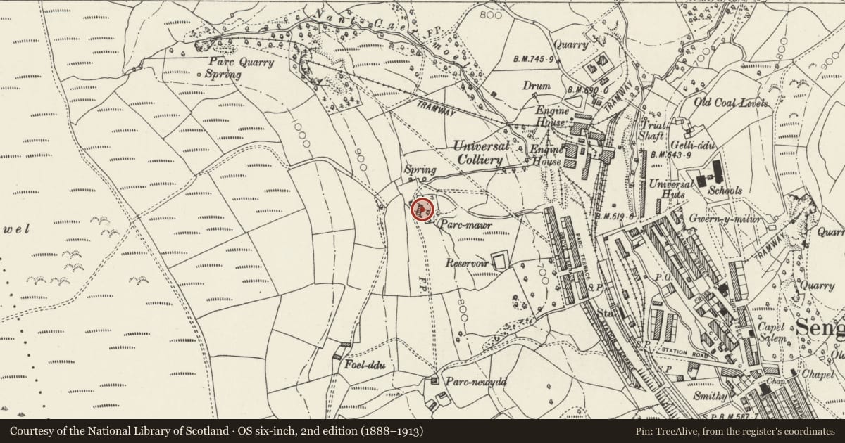 Ordnance Survey six-inch map, 2nd edition (1888–1913) covering the location of Parc Mawr, with attached stable and barn, Aber Valley, Caerphilly, with a pin at the register's coordinates