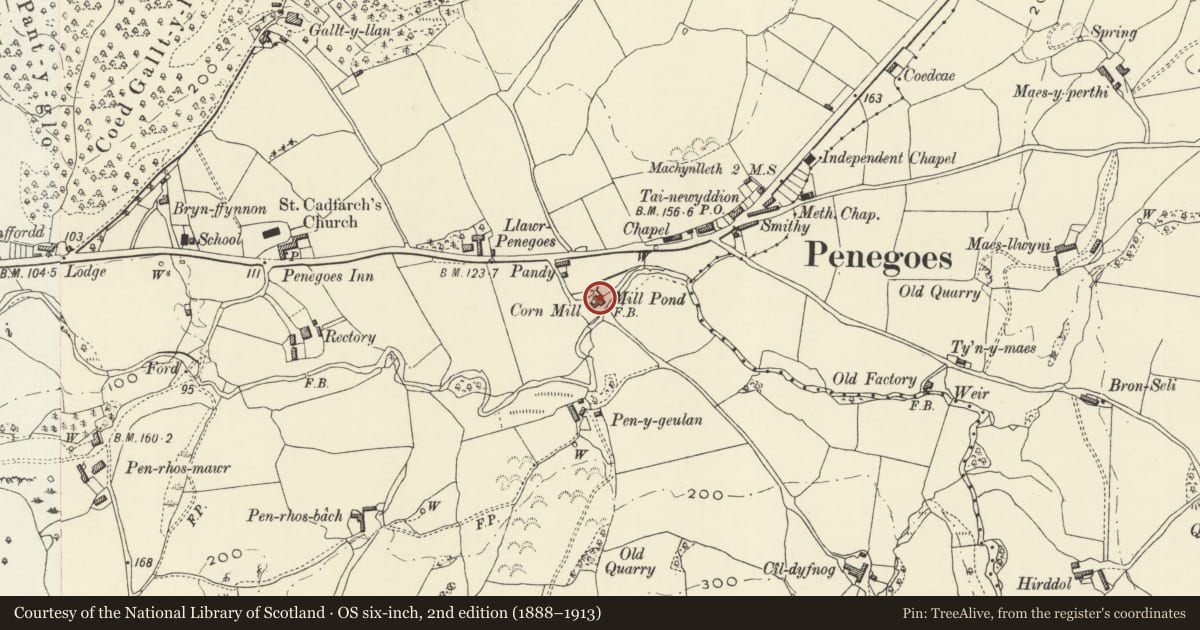 Ordnance Survey six-inch map, 2nd edition (1888–1913) covering the location of Felin Crewi, Cadfarch, Powys, with a pin at the register's coordinates