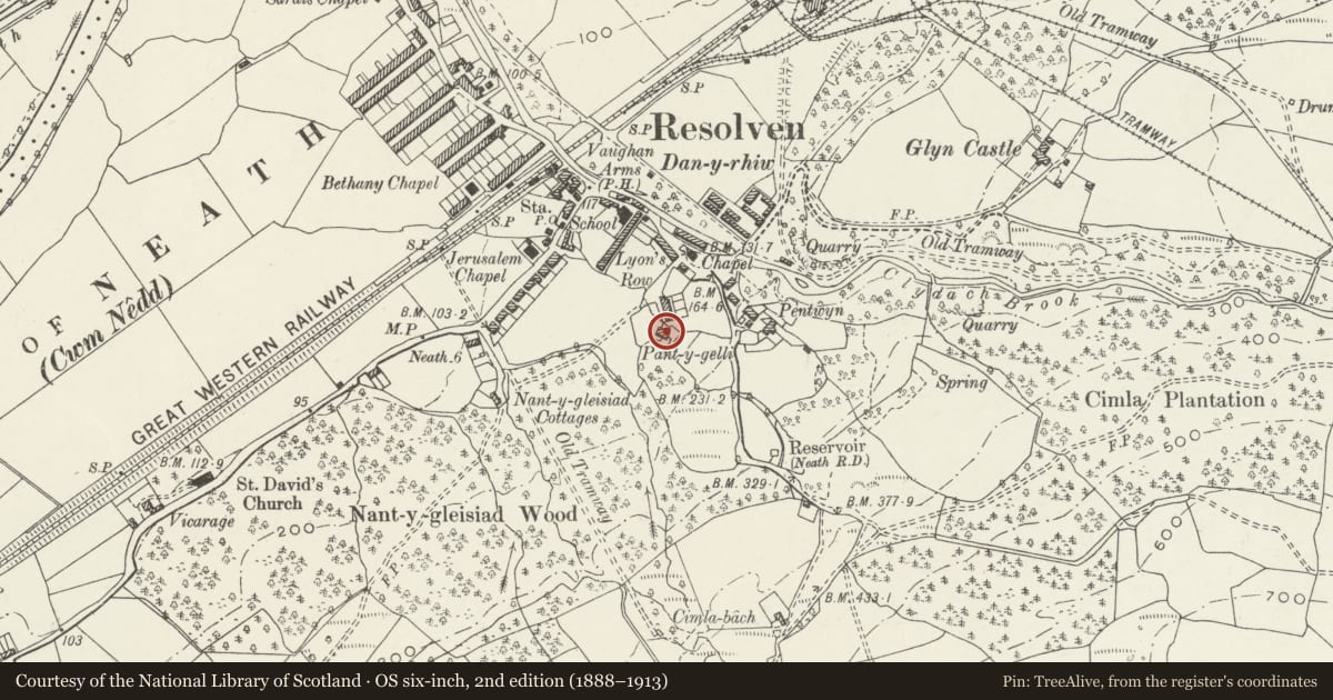 Ordnance Survey six-inch map, 2nd edition (1888–1913) covering the location of Pant y Gelli, Resolven, Neath Port Talbot, with a pin at the register's coordinates