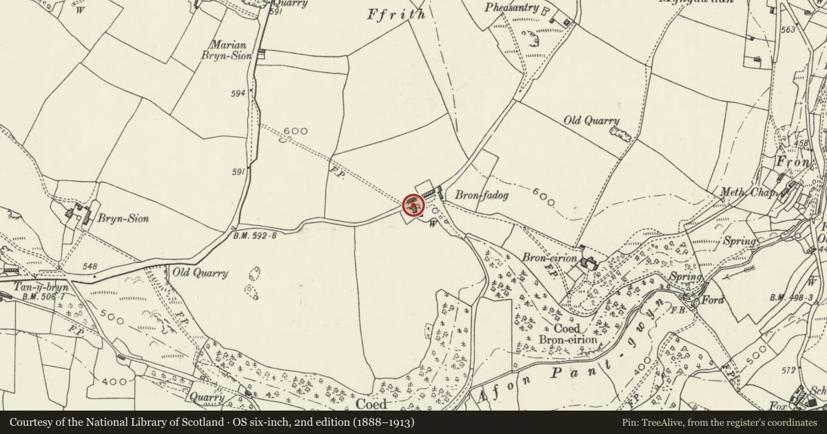 Ordnance Survey six-inch map, 2nd edition (1888–1913) covering the location of Bron Fadog, Ysceifiog, Flintshire, with a pin at the register's coordinates