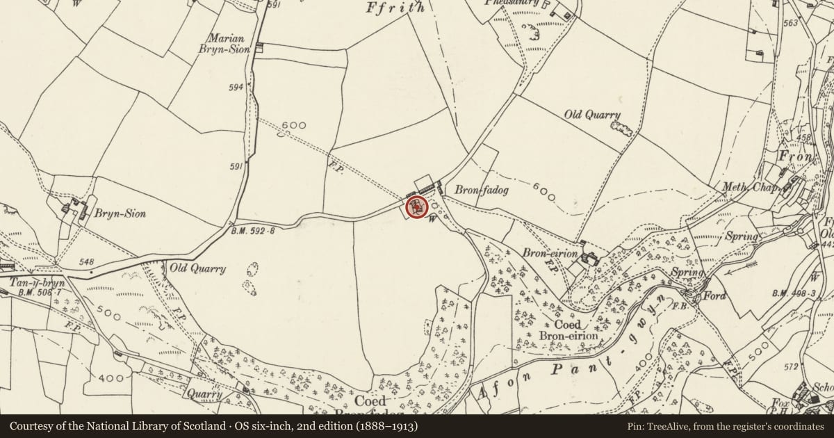 Ordnance Survey six-inch map, 2nd edition (1888–1913) covering the location of Lower House at Bron Fadog, Ysceifiog, Flintshire, with a pin at the register's coordinates