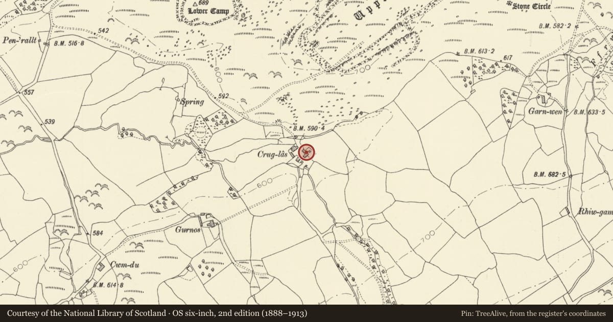 Ordnance Survey six-inch map, 2nd edition (1888–1913) covering the location of Outbuilding at Crug Glas, Llangadog, Carmarthenshire, with a pin at the register's coordinates