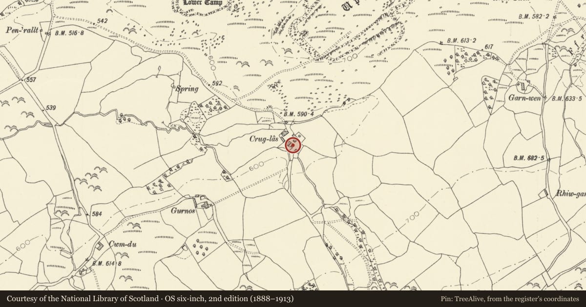 Ordnance Survey six-inch map, 2nd edition (1888–1913) covering the location of Granary at Crug Glas, Llangadog, Carmarthenshire, with a pin at the register's coordinates