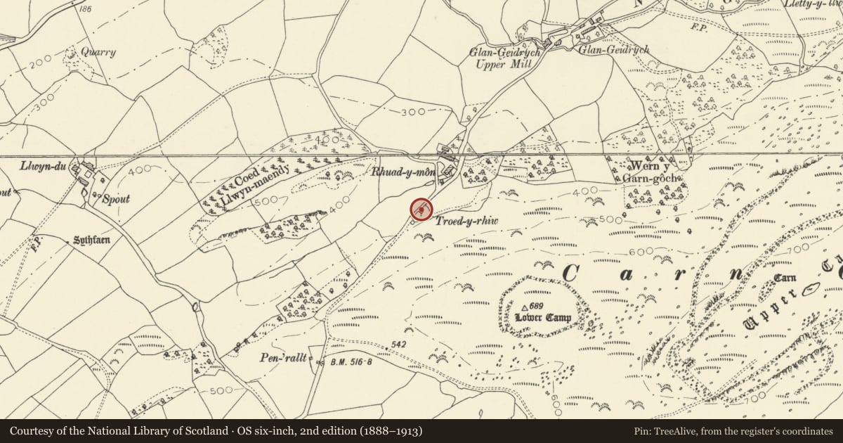 Ordnance Survey six-inch map, 2nd edition (1888–1913) covering the location of Pound near Rhuad y Mon, Llangadog, Carmarthenshire, with a pin at the register's coordinates