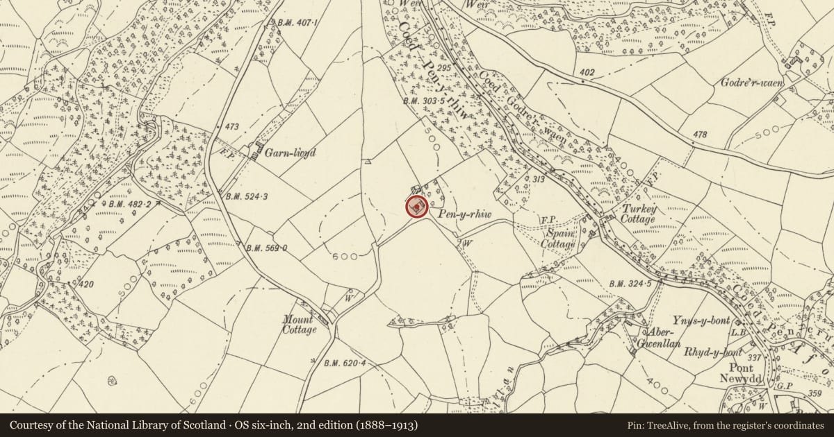 Ordnance Survey six-inch map, 2nd edition (1888–1913) covering the location of Penyrhiw, Llangadog, Carmarthenshire, with a pin at the register's coordinates