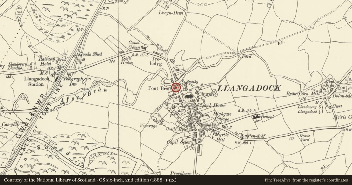 Ordnance Survey six-inch map, 2nd edition (1888–1913) covering the location of Delfan, Llangadog, Carmarthenshire, with a pin at the register's coordinates