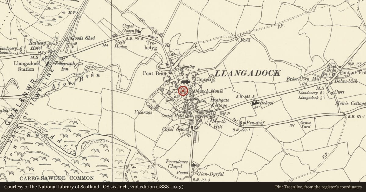 Ordnance Survey six-inch map, 2nd edition (1888–1913) covering the location of Llwyn-yr-adar, Llangadog, Carmarthenshire, with a pin at the register's coordinates