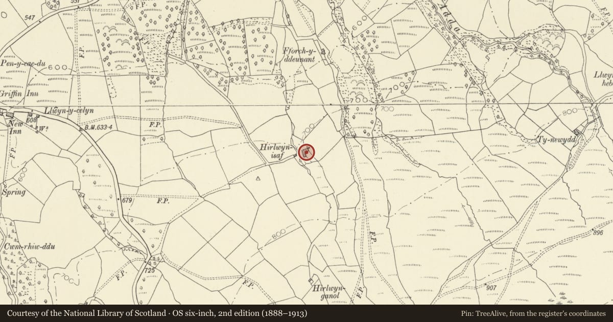 Ordnance Survey six-inch map, 2nd edition (1888–1913) covering the location of Hirlwyn Isaf and outbuilding, Llangadog, Carmarthenshire, with a pin at the register's coordinates