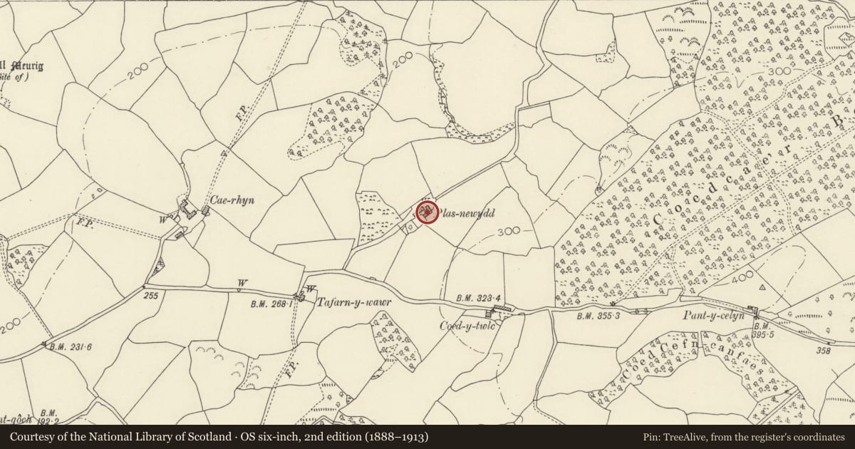 Ordnance Survey six-inch map, 2nd edition (1888–1913) covering the location of Plas Newydd and barn, Llangadog, Carmarthenshire, with a pin at the register's coordinates