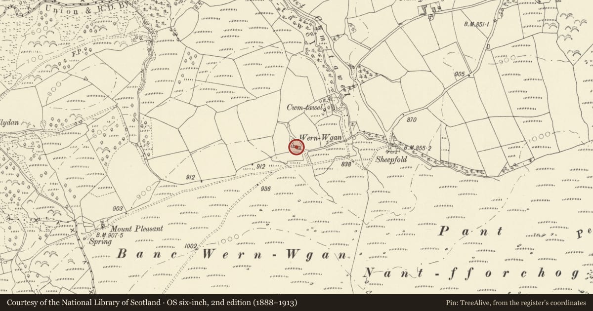 Ordnance Survey six-inch map, 2nd edition (1888–1913) covering the location of Wern Wgan, Llangadog, Carmarthenshire, with a pin at the register's coordinates