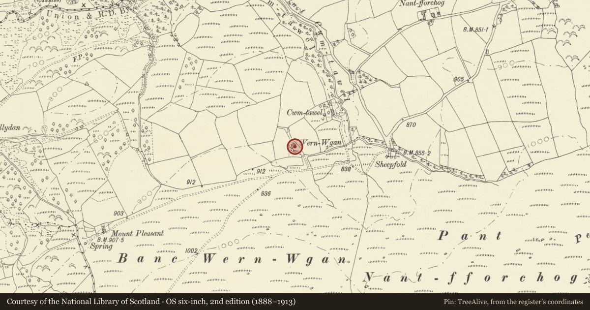 Ordnance Survey six-inch map, 2nd edition (1888–1913) covering the location of Outbuilding at Wern Wgan, Llangadog, Carmarthenshire, with a pin at the register's coordinates