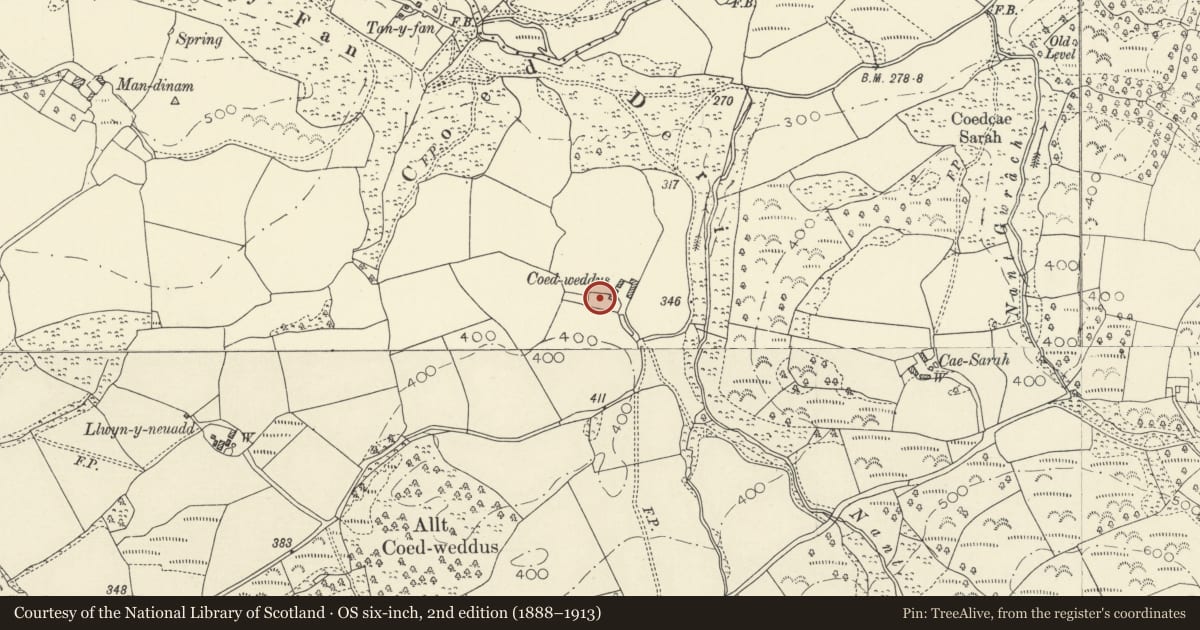 Ordnance Survey six-inch map, 2nd edition (1888–1913) covering the location of Coedweddus, Llangadog, Carmarthenshire, with a pin at the register's coordinates