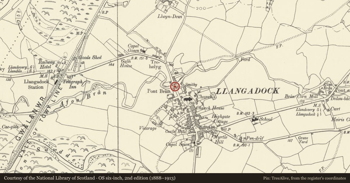 Ordnance Survey six-inch map, 2nd edition (1888–1913) covering the location of Pont Bran, Llangadog, Carmarthenshire, with a pin at the register's coordinates