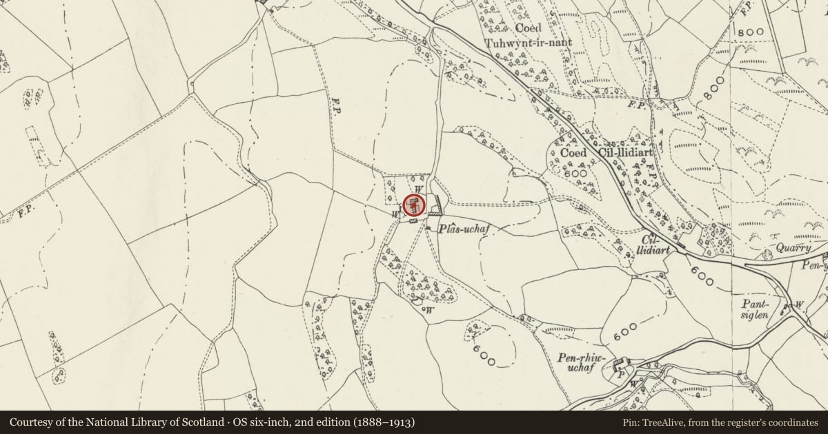 Ordnance Survey six-inch map, 2nd edition (1888–1913) covering the location of Plas Uchaf, Llansanffraid Glan Conwy, Conwy, with a pin at the register's coordinates