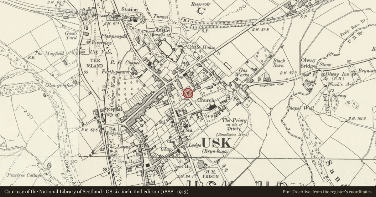 Ordnance Survey six-inch map, 2nd edition (1888–1913) covering the location of Garden gatepiers, gates and wall at Ty-Brith, Usk, Monmouthshire, with a pin at the register's coordinates