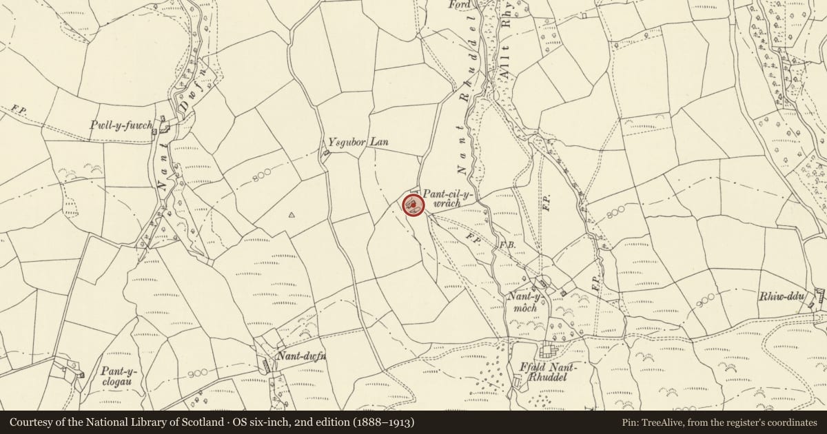 Ordnance Survey six-inch map, 2nd edition (1888–1913) covering the location of Pant Cilywrach, Llangadog, Carmarthenshire, with a pin at the register's coordinates