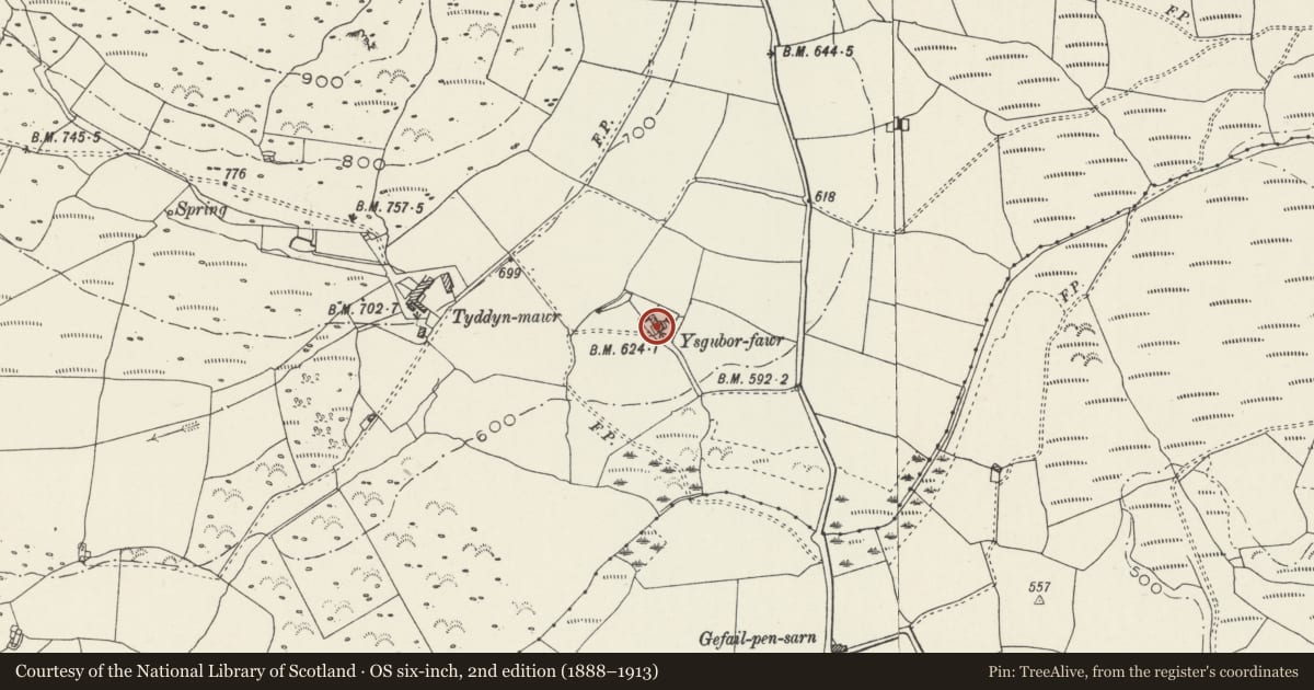 Ordnance Survey six-inch map, 2nd edition (1888–1913) covering the location of Ysgubor-fawr old farmhouse, with front garden walls, Llanaelhaearn, Gwynedd, with a pin at the register's coordinates