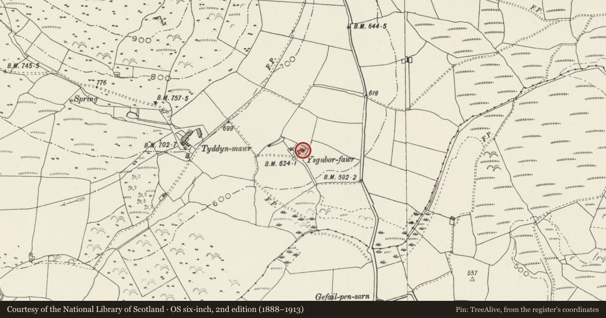 Ordnance Survey six-inch map, 2nd edition (1888–1913) covering the location of Cowhouse at Ysgubor-fawr, Llanaelhaearn, Gwynedd, with a pin at the register's coordinates