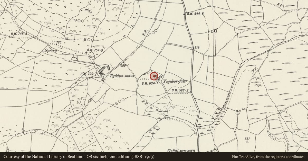 Ordnance Survey six-inch map, 2nd edition (1888–1913) covering the location of Store and Mill at Ysgubor-fawr, Llanaelhaearn, Gwynedd, with a pin at the register's coordinates