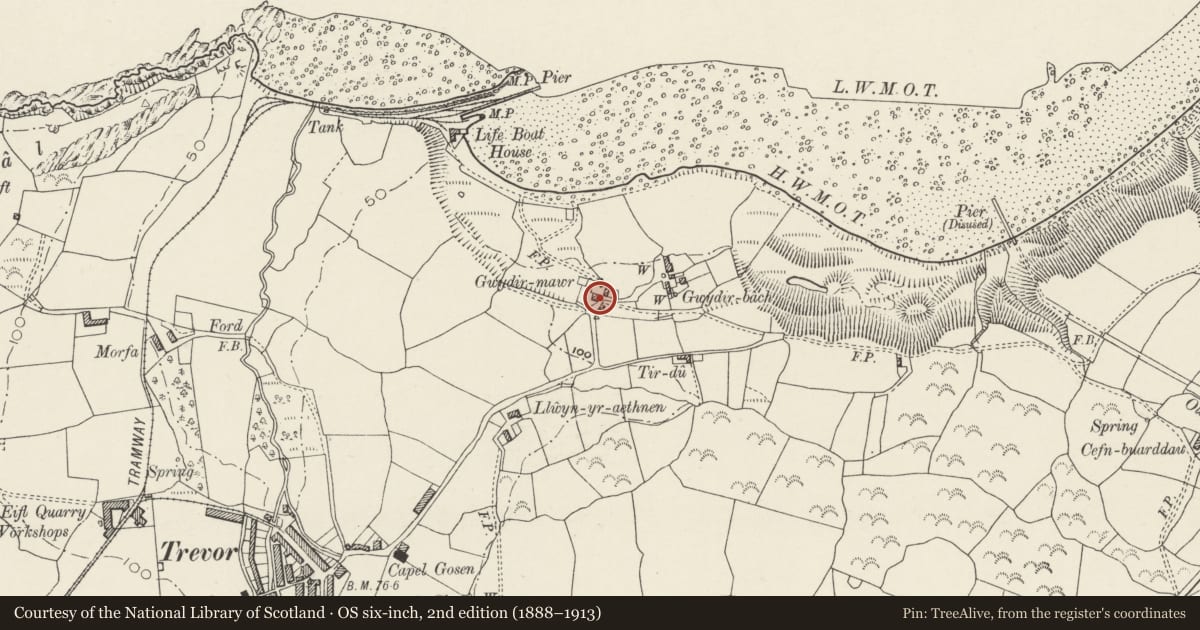 Ordnance Survey six-inch map, 2nd edition (1888–1913) covering the location of Gwydir-mawr, Llanaelhaearn, Gwynedd, with a pin at the register's coordinates
