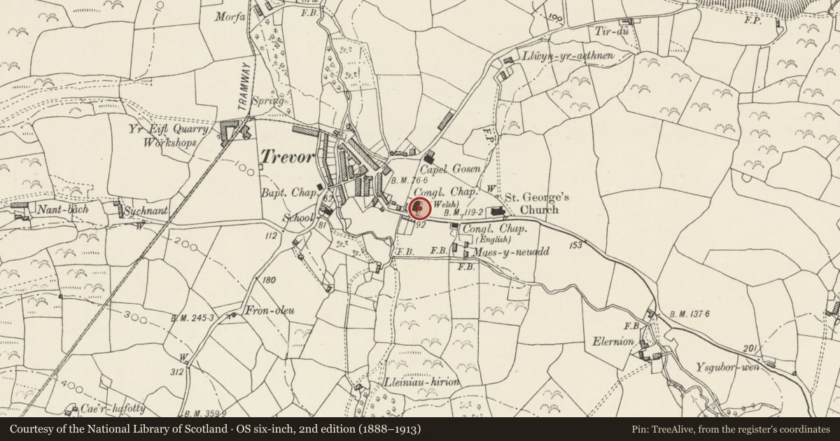 Ordnance Survey six-inch map, 2nd edition (1888–1913) covering the location of Maes-y-neuadd addoldy annibynwyr, Llanaelhaearn, Gwynedd, with a pin at the register's coordinates