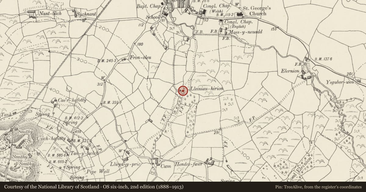 Ordnance Survey six-inch map, 2nd edition (1888–1913) covering the location of Pig Sty at Lleiniau-hirion, Llanaelhaearn, Gwynedd, with a pin at the register's coordinates