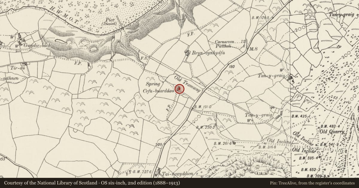 Ordnance Survey six-inch map, 2nd edition (1888–1913) covering the location of Cefn-y-buarddau, with front yard walls, Llanaelhaearn, Gwynedd, with a pin at the register's coordinates