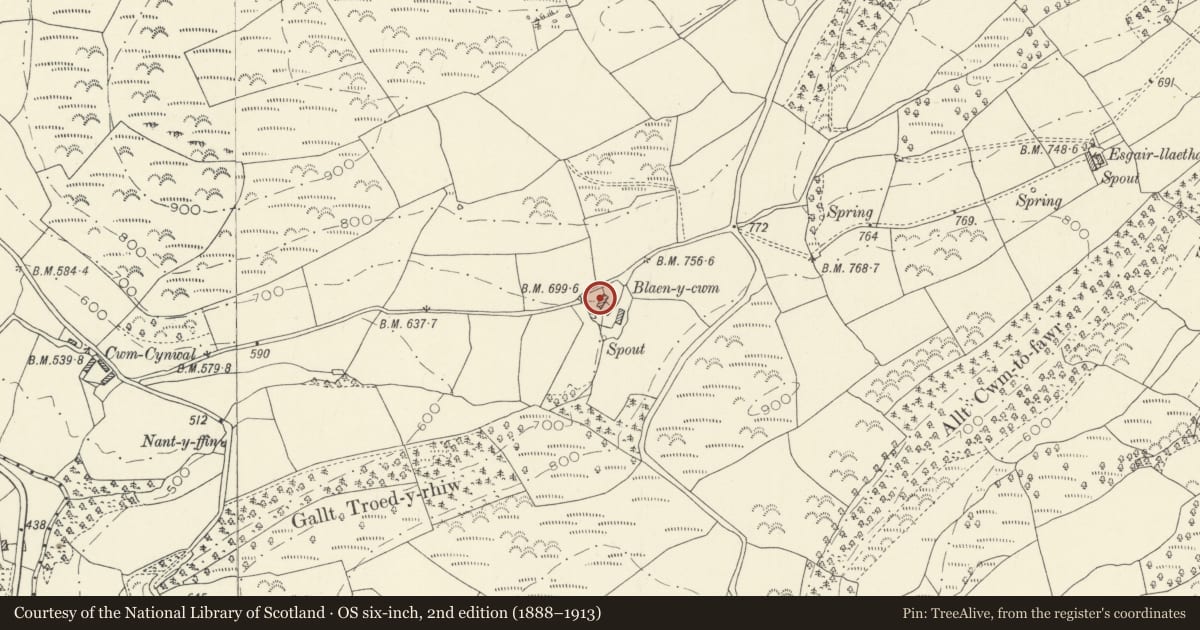 Ordnance Survey six-inch map, 2nd edition (1888–1913) covering the location of Blaenycwm, Llanwrda, Carmarthenshire, with a pin at the register's coordinates