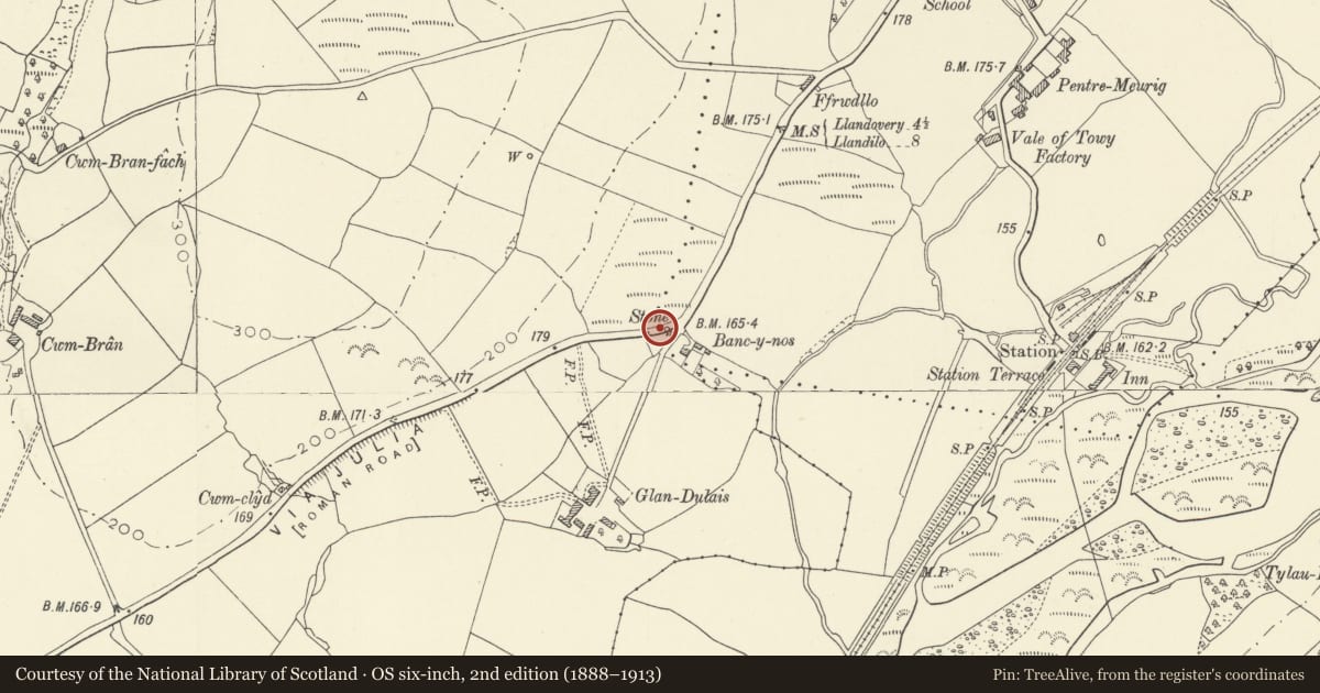 Ordnance Survey six-inch map, 2nd edition (1888–1913) covering the location of Boundary Stone at Glandulais, Llanwrda, Carmarthenshire, with a pin at the register's coordinates