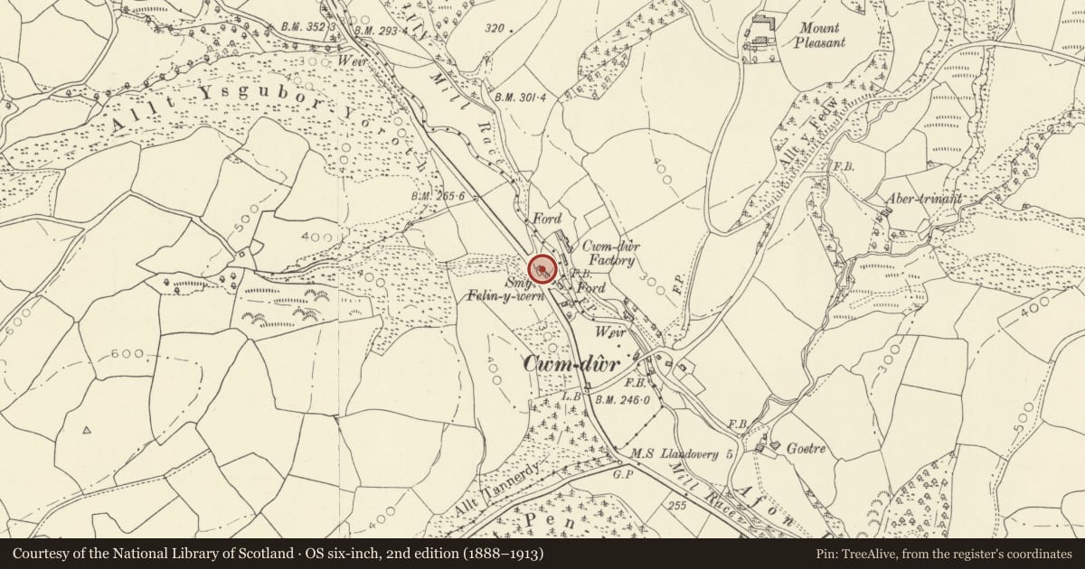 Ordnance Survey six-inch map, 2nd edition (1888–1913) covering the location of Cwm-dwr, Llanwrda, Carmarthenshire, with a pin at the register's coordinates