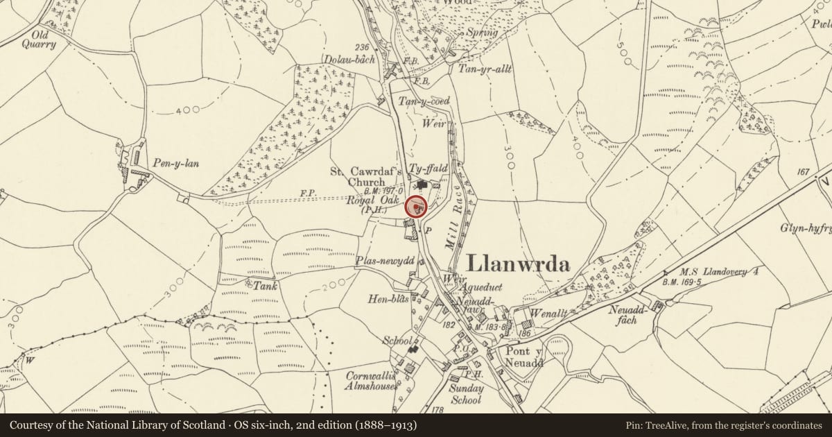 Ordnance Survey six-inch map, 2nd edition (1888–1913) covering the location of Borezell, Llanwrda, Carmarthenshire, with a pin at the register's coordinates