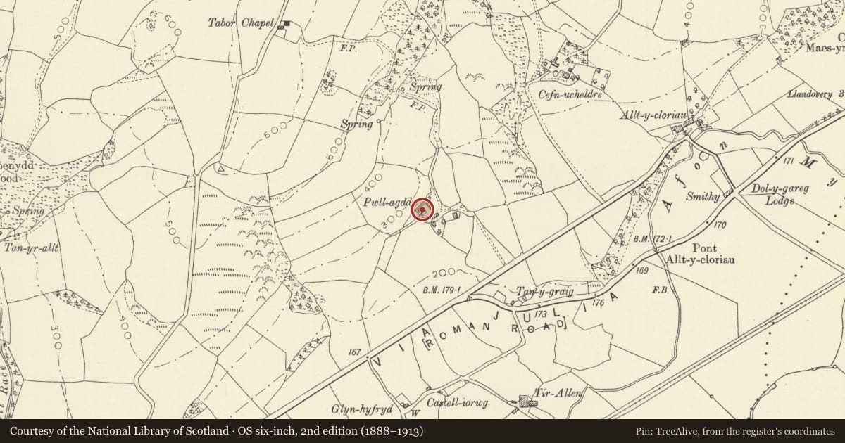 Ordnance Survey six-inch map, 2nd edition (1888–1913) covering the location of Pwllagddu, Llanwrda, Carmarthenshire, with a pin at the register's coordinates