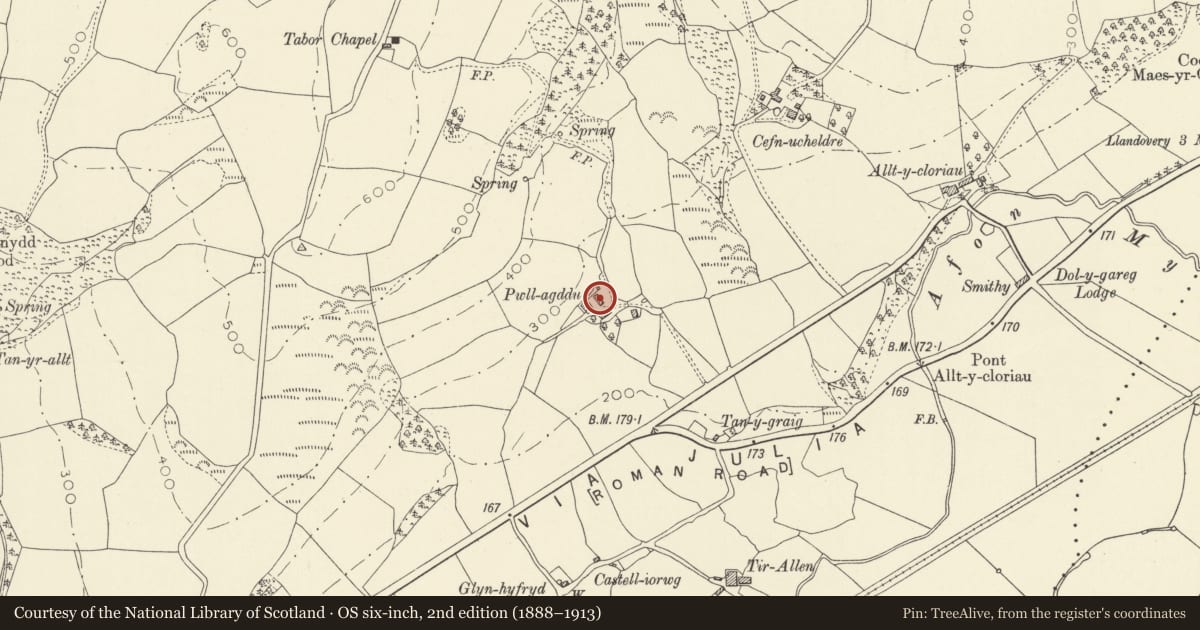 Ordnance Survey six-inch map, 2nd edition (1888–1913) covering the location of Barn at Pwllagddu, Llanwrda, Carmarthenshire, with a pin at the register's coordinates