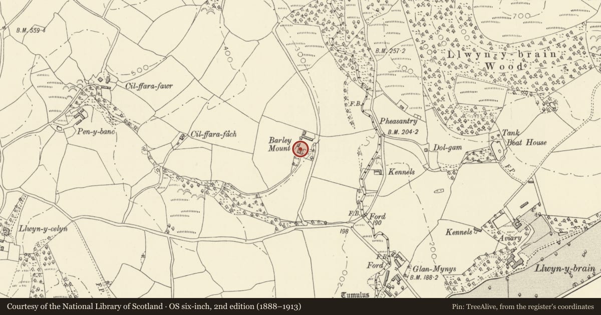 Ordnance Survey six-inch map, 2nd edition (1888–1913) covering the location of Barley Mount, Llanwrda, Carmarthenshire, with a pin at the register's coordinates