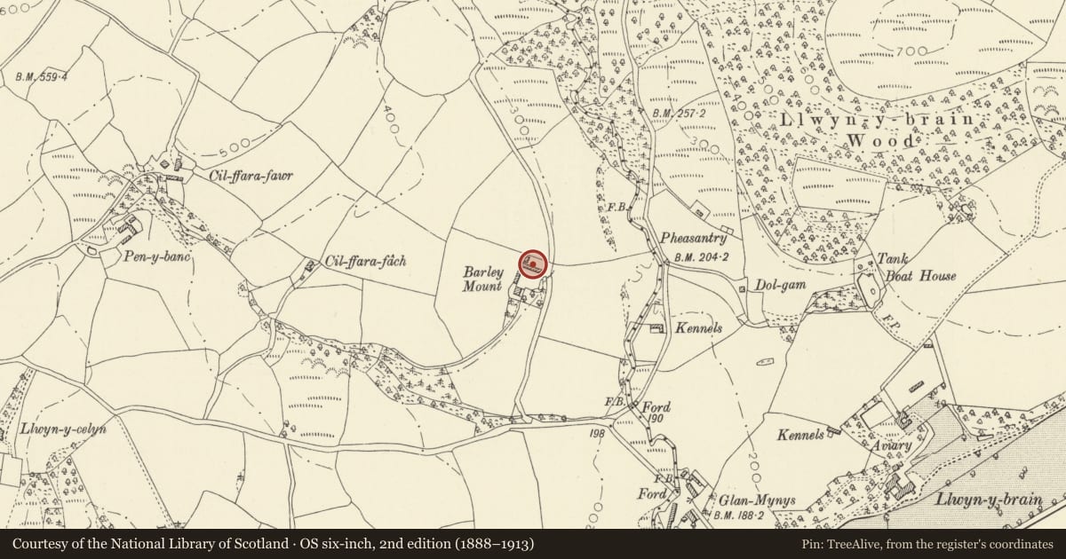 Ordnance Survey six-inch map, 2nd edition (1888–1913) covering the location of Barn range at Barley Mount, Llanwrda, Carmarthenshire, with a pin at the register's coordinates
