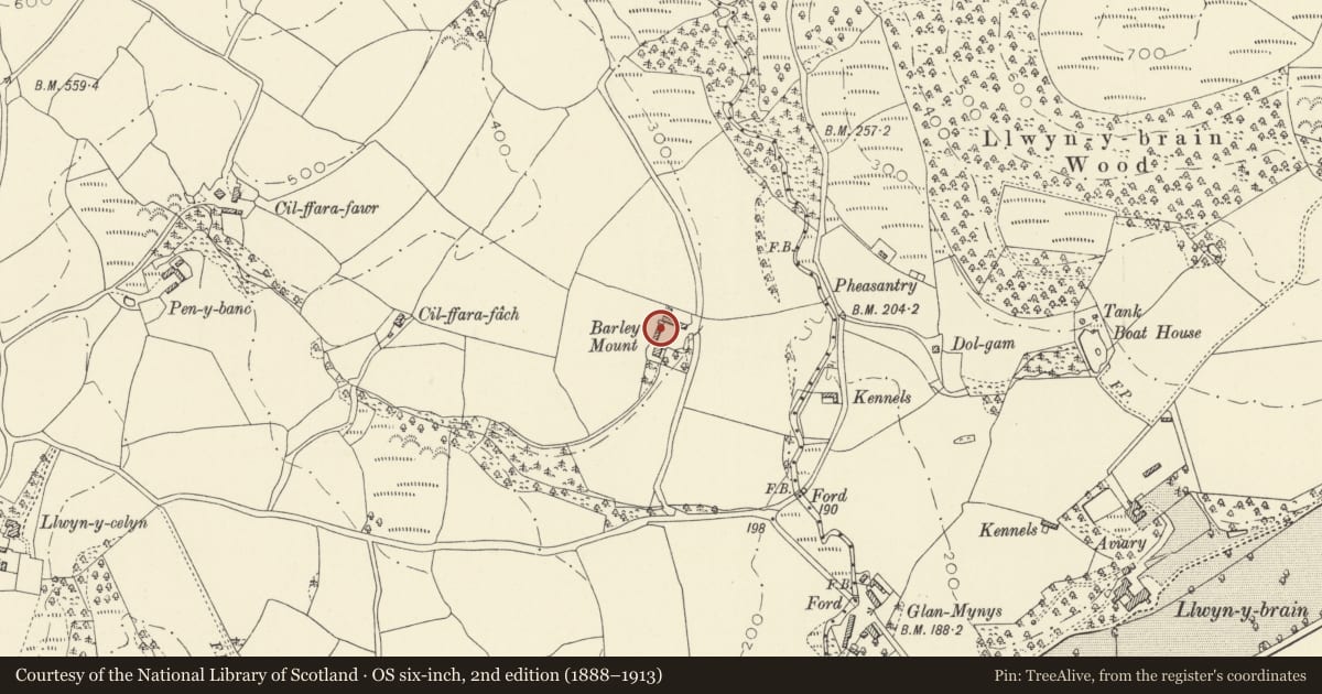 Ordnance Survey six-inch map, 2nd edition (1888–1913) covering the location of Cowshed at Barley Mount, Llanwrda, Carmarthenshire, with a pin at the register's coordinates