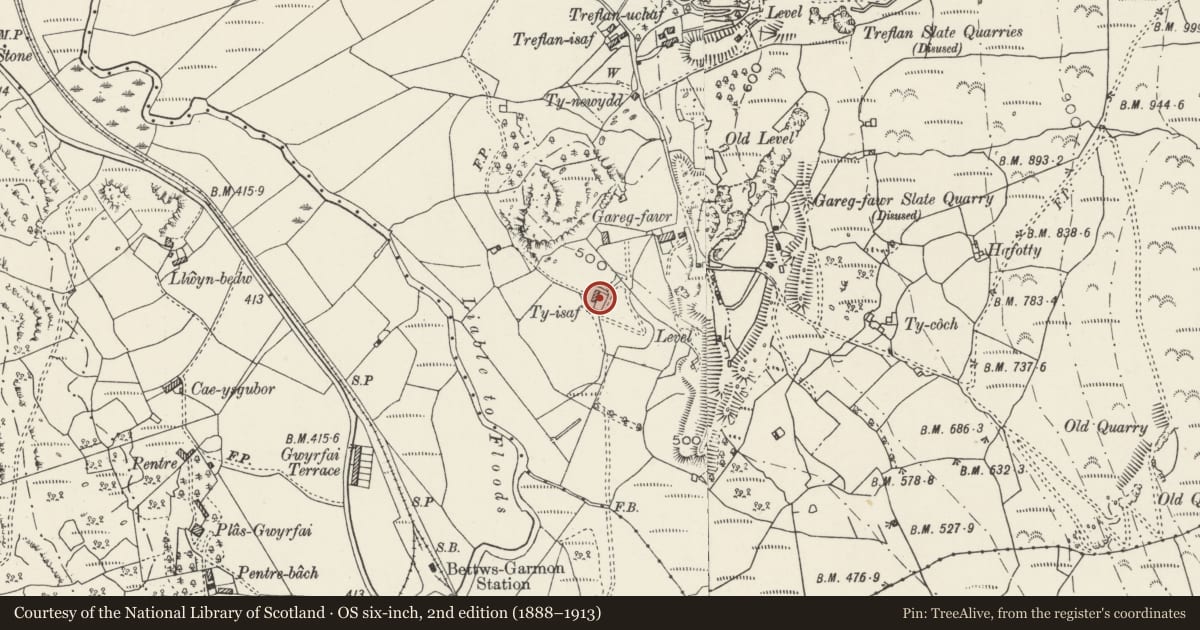 Ordnance Survey six-inch map, 2nd edition (1888–1913) covering the location of Ty-isaf, Waunfawr, Gwynedd, with a pin at the register's coordinates