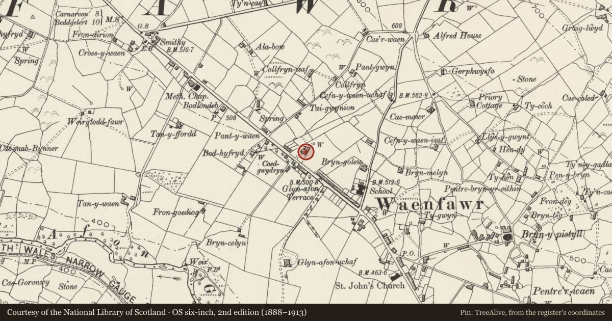 Ordnance Survey six-inch map, 2nd edition (1888–1913) covering the location of Ty-Hen, Waunfawr, Gwynedd, with a pin at the register's coordinates
