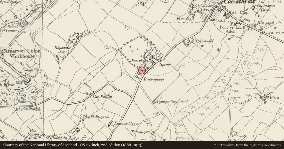 Ordnance Survey six-inch map, 2nd edition (1888–1913) covering the location of Boundary wall at Bryn Eglwys, Waunfawr, Gwynedd, with a pin at the register's coordinates
