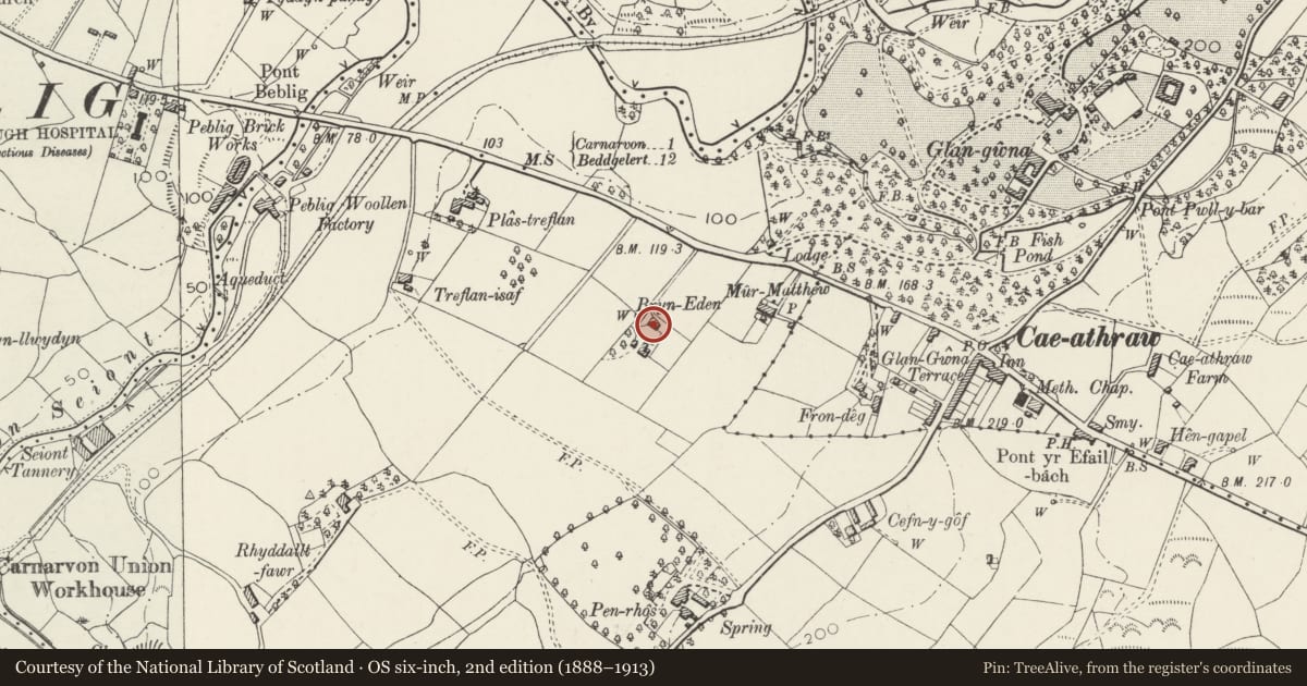 Ordnance Survey six-inch map, 2nd edition (1888–1913) covering the location of Bryn Eden and terrace walls to front, Waunfawr, Gwynedd, with a pin at the register's coordinates
