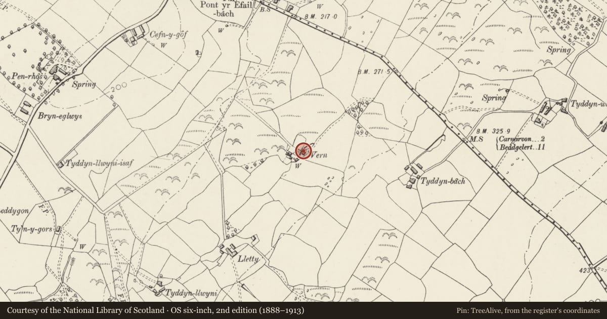 Ordnance Survey six-inch map, 2nd edition (1888–1913) covering the location of Pigsties at Wern, Waunfawr, Gwynedd, with a pin at the register's coordinates