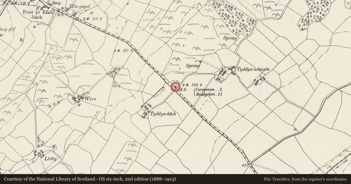 Ordnance Survey six-inch map, 2nd edition (1888–1913) covering the location of Milestone, Waunfawr, Gwynedd, with a pin at the register's coordinates