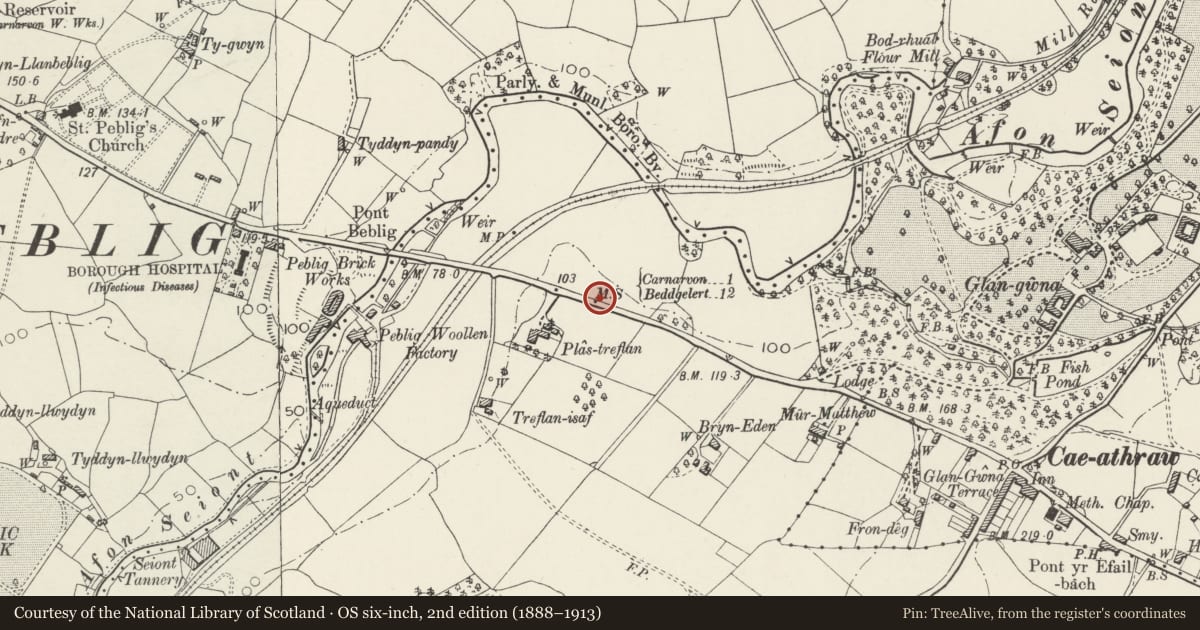 Ordnance Survey six-inch map, 2nd edition (1888–1913) covering the location of Milestone, Waunfawr, Gwynedd, with a pin at the register's coordinates