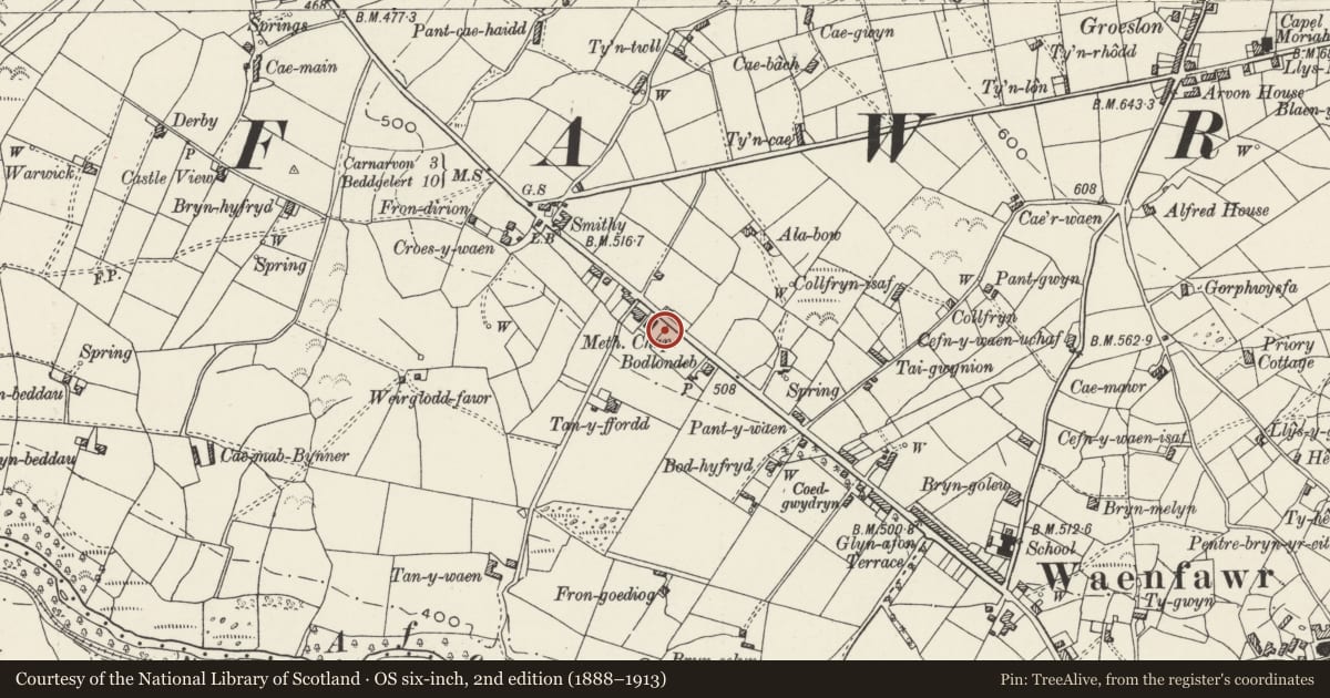 Ordnance Survey six-inch map, 2nd edition (1888–1913) covering the location of Tegannedd, Ty Capel and Sunday School/Vestry, Waunfawr, Gwynedd, with a pin at the register's coordinates
