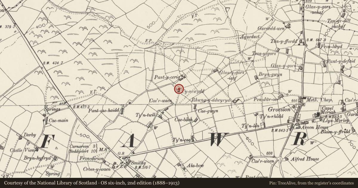 Ordnance Survey six-inch map, 2nd edition (1888–1913) covering the location of Ty Newydd, Waunfawr, Gwynedd, with a pin at the register's coordinates