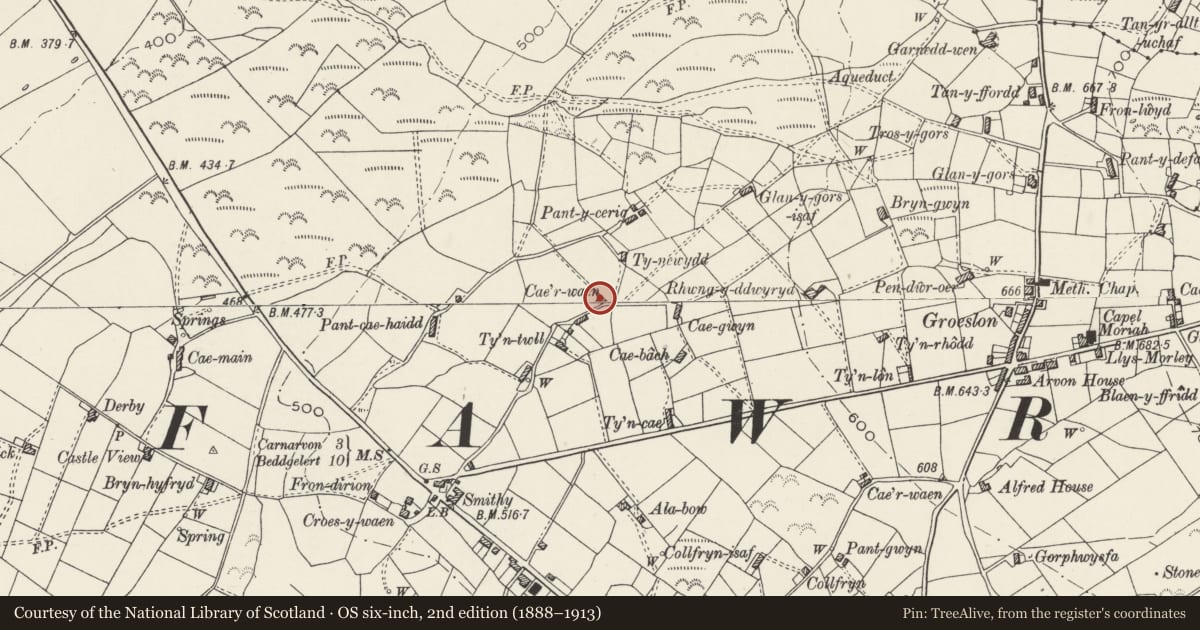 Ordnance Survey six-inch map, 2nd edition (1888–1913) covering the location of Awel-y-mor, Waunfawr, Gwynedd, with a pin at the register's coordinates