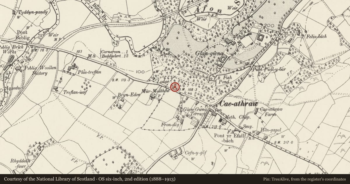 Ordnance Survey six-inch map, 2nd edition (1888–1913) covering the location of Gate piers and walls at entrance to Glan Gwna Hall, Waunfawr, Gwynedd, with a pin at the register's coordinates